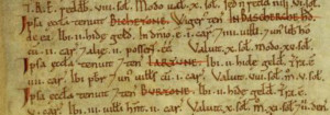 Domesday-extract